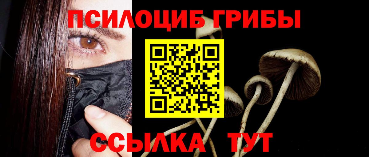 дарнет шоп  Псилоцибиновые грибы Cubensis  Шали  Вход с VPN  Галлюциногенные грибы мухоморы 